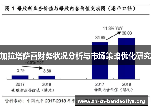 加拉塔萨雷财务状况分析与市场策略优化研究 加拉塔萨雷财务状况分析与市场策略优化研究