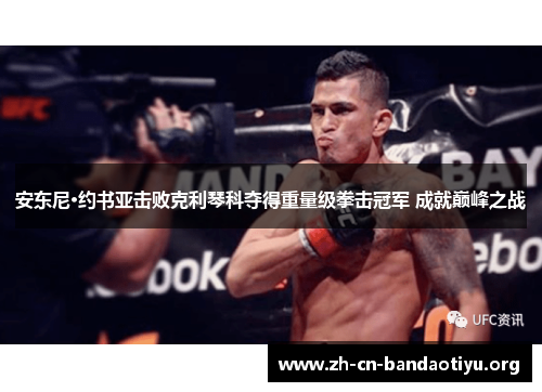 安东尼·约书亚击败克利琴科夺得重量级拳击冠军 成就巅峰之战 安东尼·约书亚击败克利琴科夺得重量级拳击冠军 成就巅峰之战