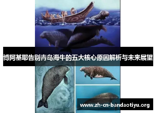 博阿基耶告别青岛海牛的五大核心原因解析与未来展望 博阿基耶告别青岛海牛的五大核心原因解析与未来展望
