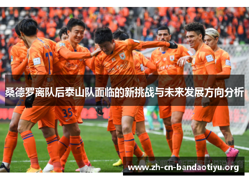 桑德罗离队后泰山队面临的新挑战与未来发展方向分析 桑德罗离队后泰山队面临的新挑战与未来发展方向分析