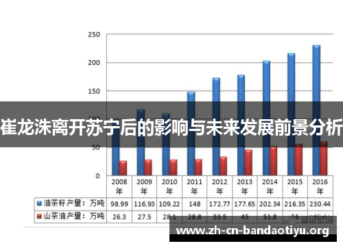 崔龙洙离开苏宁后的影响与未来发展前景分析 崔龙洙离开苏宁后的影响与未来发展前景分析