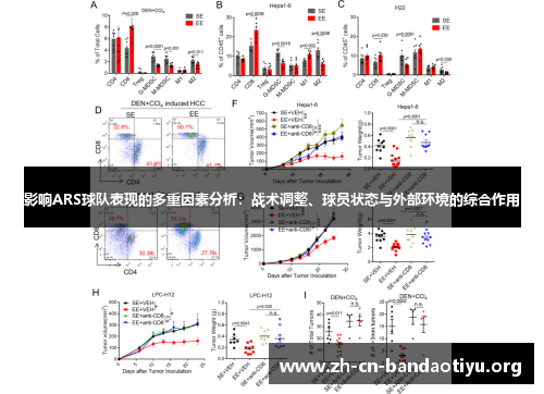 影响ARS球队表现的多重因素分析:战术调整、球员状态与外部环境的综合作用 影响ARS球队表现的多重因素分析:战术调整、球员状态与外部环境的综合作用